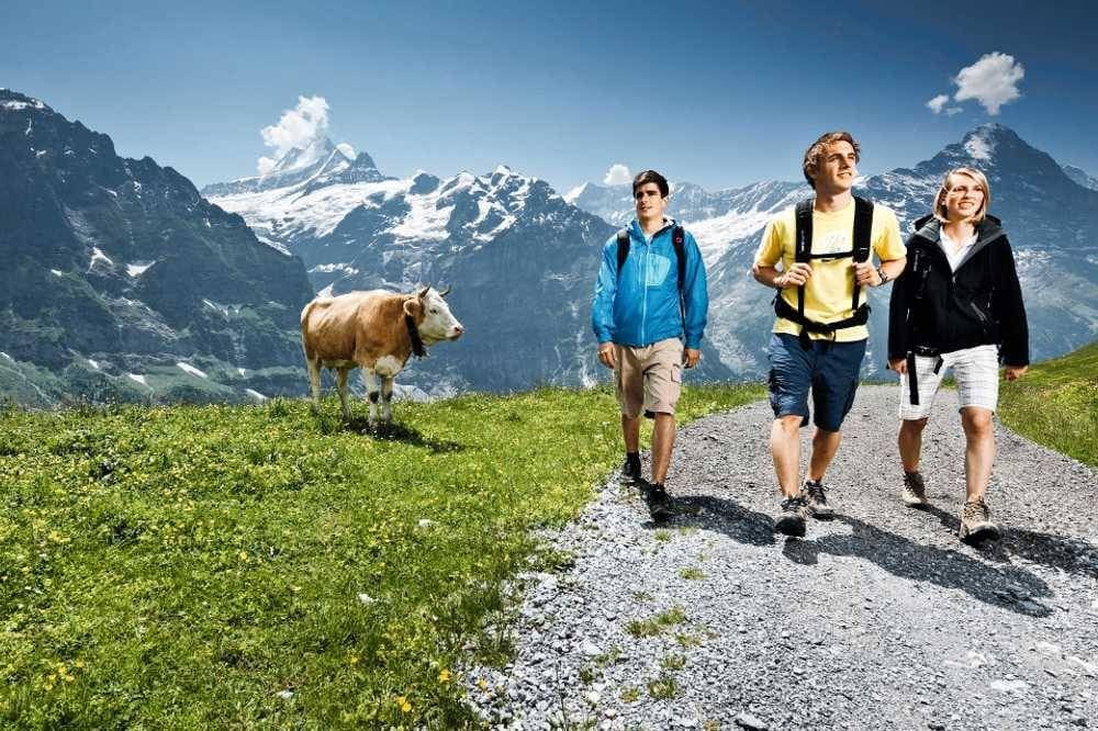 Ab Luzern: Tagestour nach Grindelwald, Interlaken und Lauterbrunnen