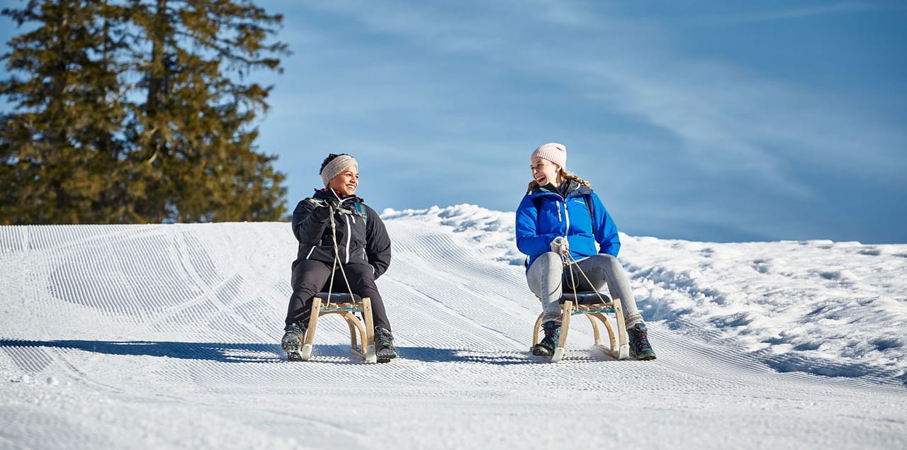 Schlitteln Rigi Tageskarte inkl. Bahnticket