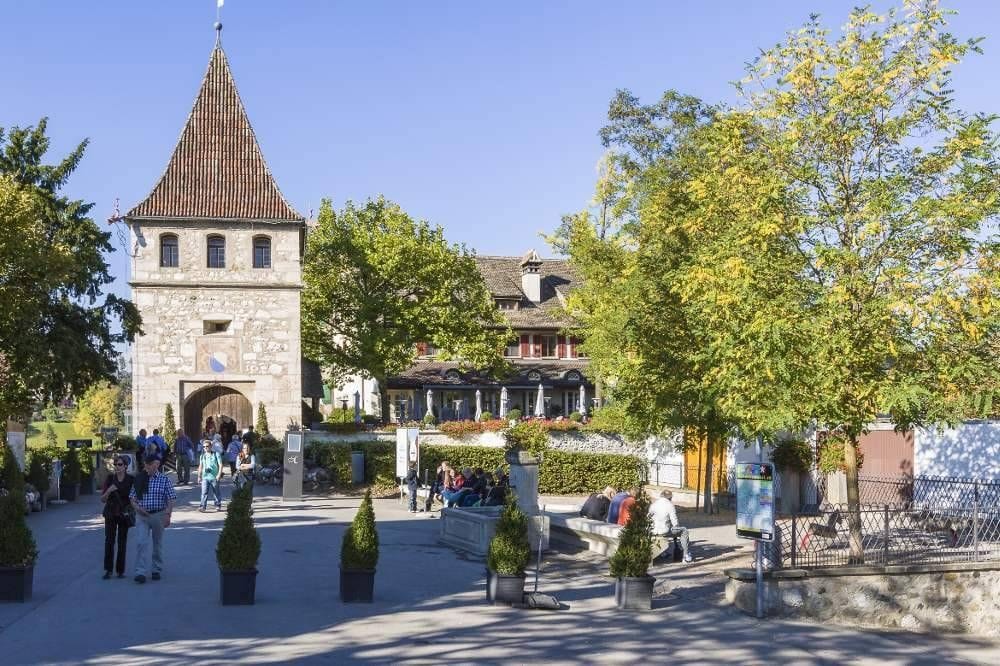 Ab Zürich: Bustour zum Rheinfall halber Tag