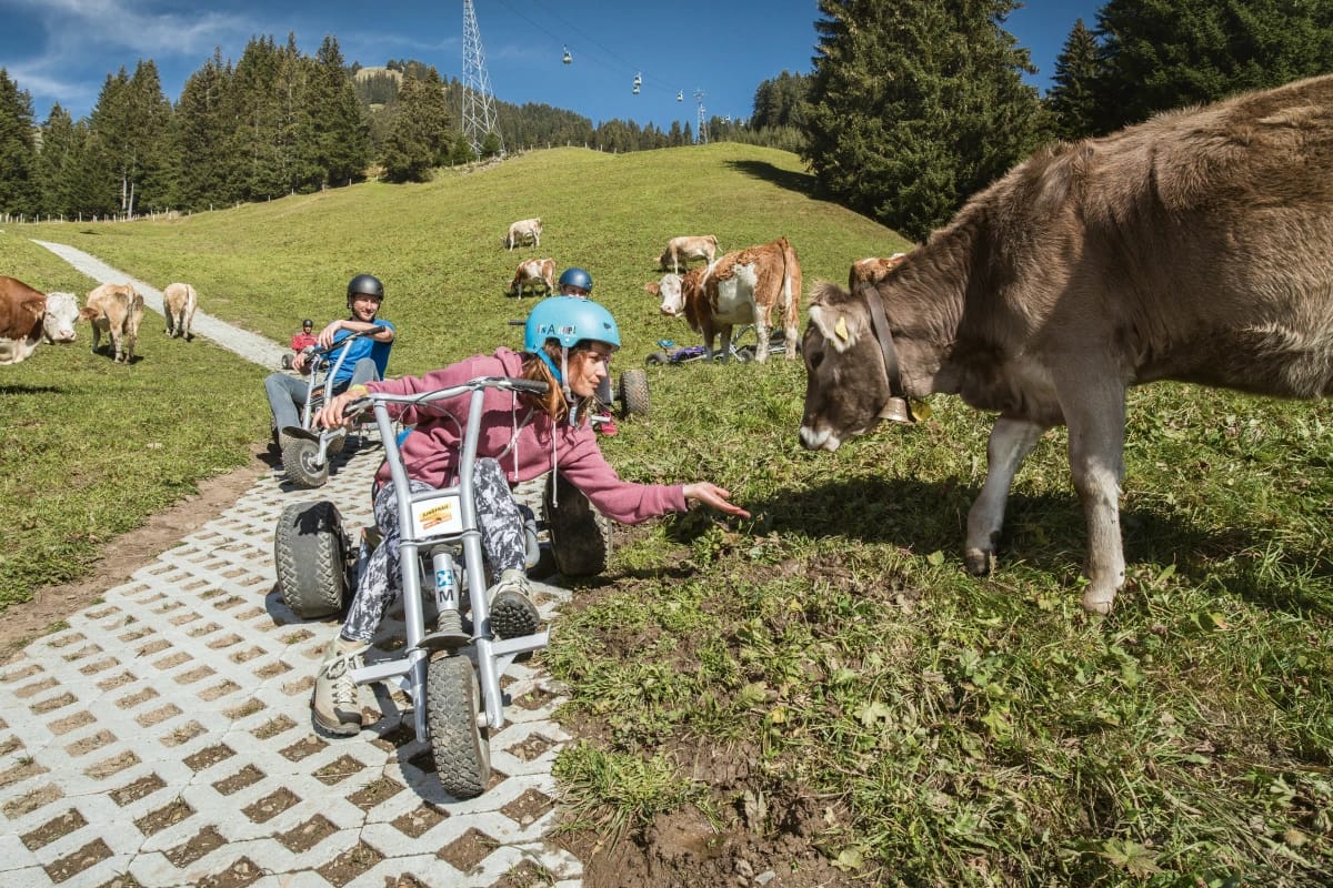 Wanderticket Grindelwald - Schreckfeld mit der Firstbahn