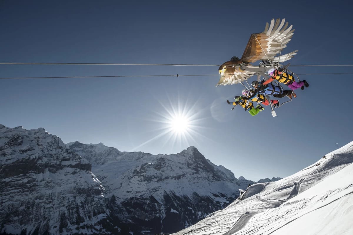 Wanderticket Grindelwald - Schreckfeld mit der Firstbahn
