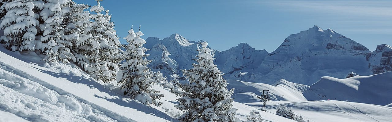 Snowbike Talabfahrt ab Elsigenalp Abendfahrt