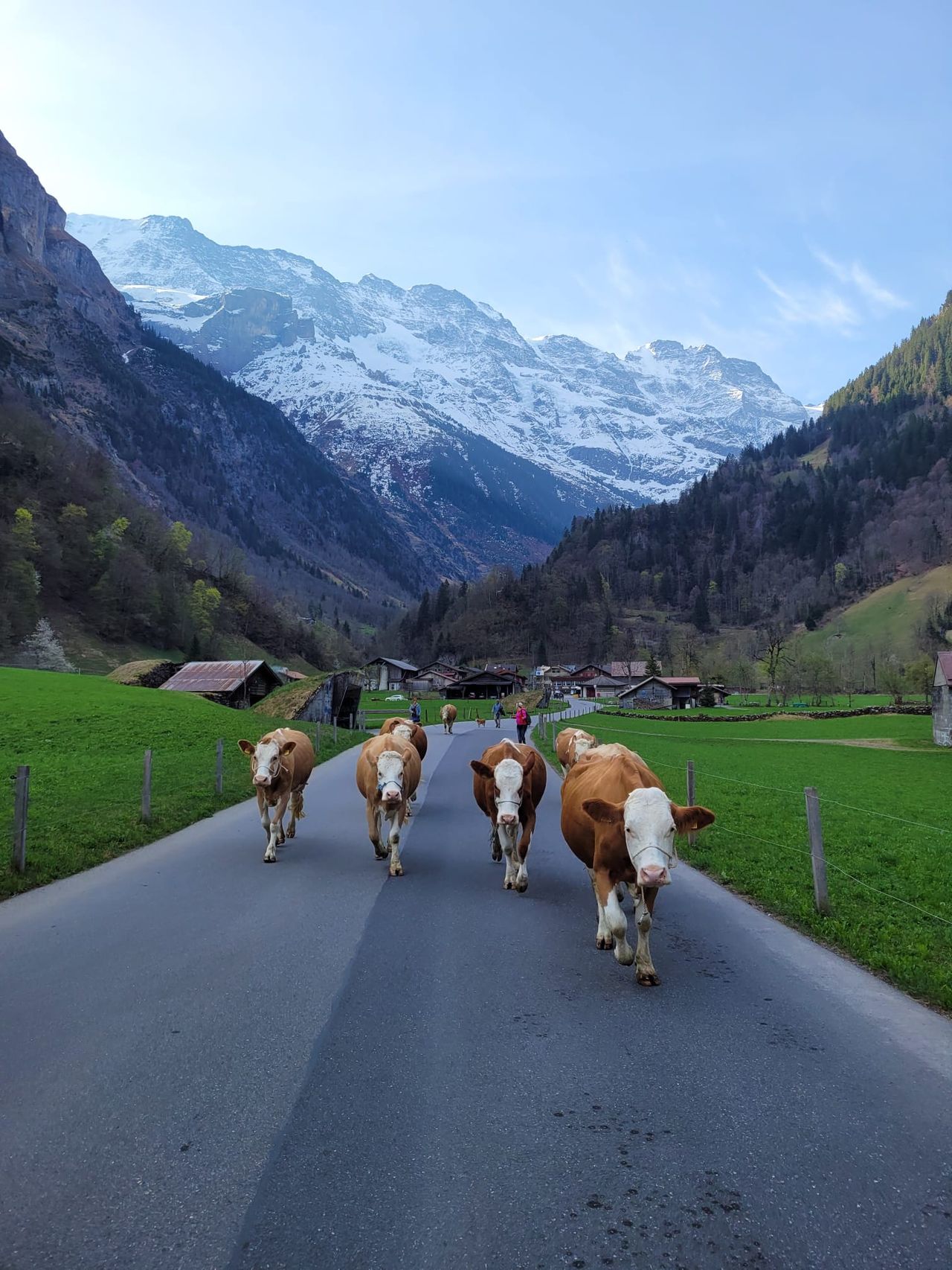 Persönliche Reiseplanung mit dem Profi in Lauterbrunnen per Videoanruf