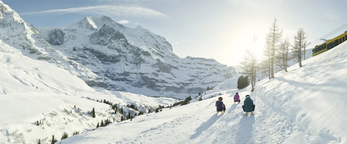 Wanderticket Grindelwald - Kleine Scheidegg mit der Wengernalpbahn