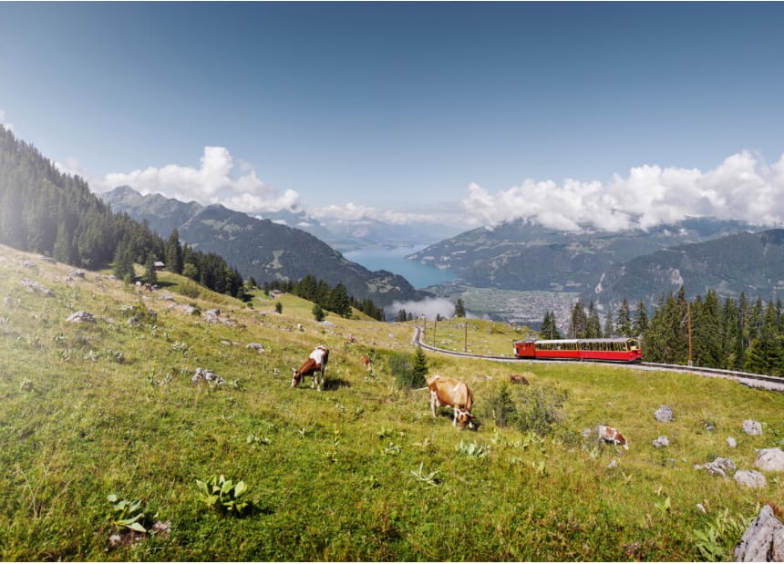 Schynige Platte Wandern
