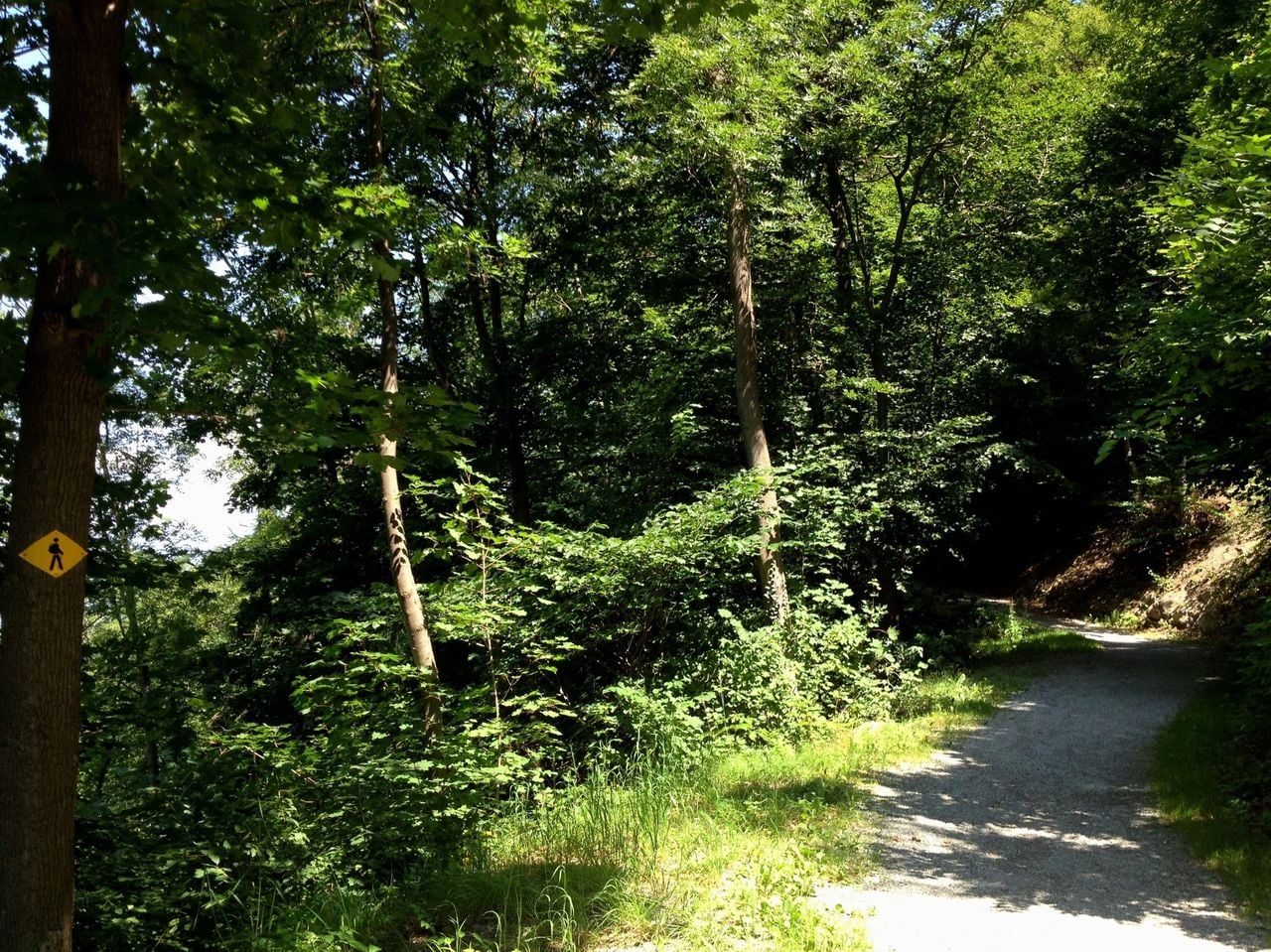 Wanderung auf dem Churer Höhenweg mit 3-Gang-Menü in drei Restaurants
