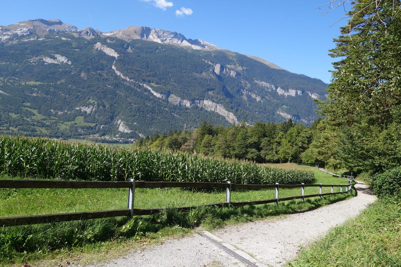 Wanderung auf dem Churer Höhenweg mit 3-Gang-Menü in drei Restaurants