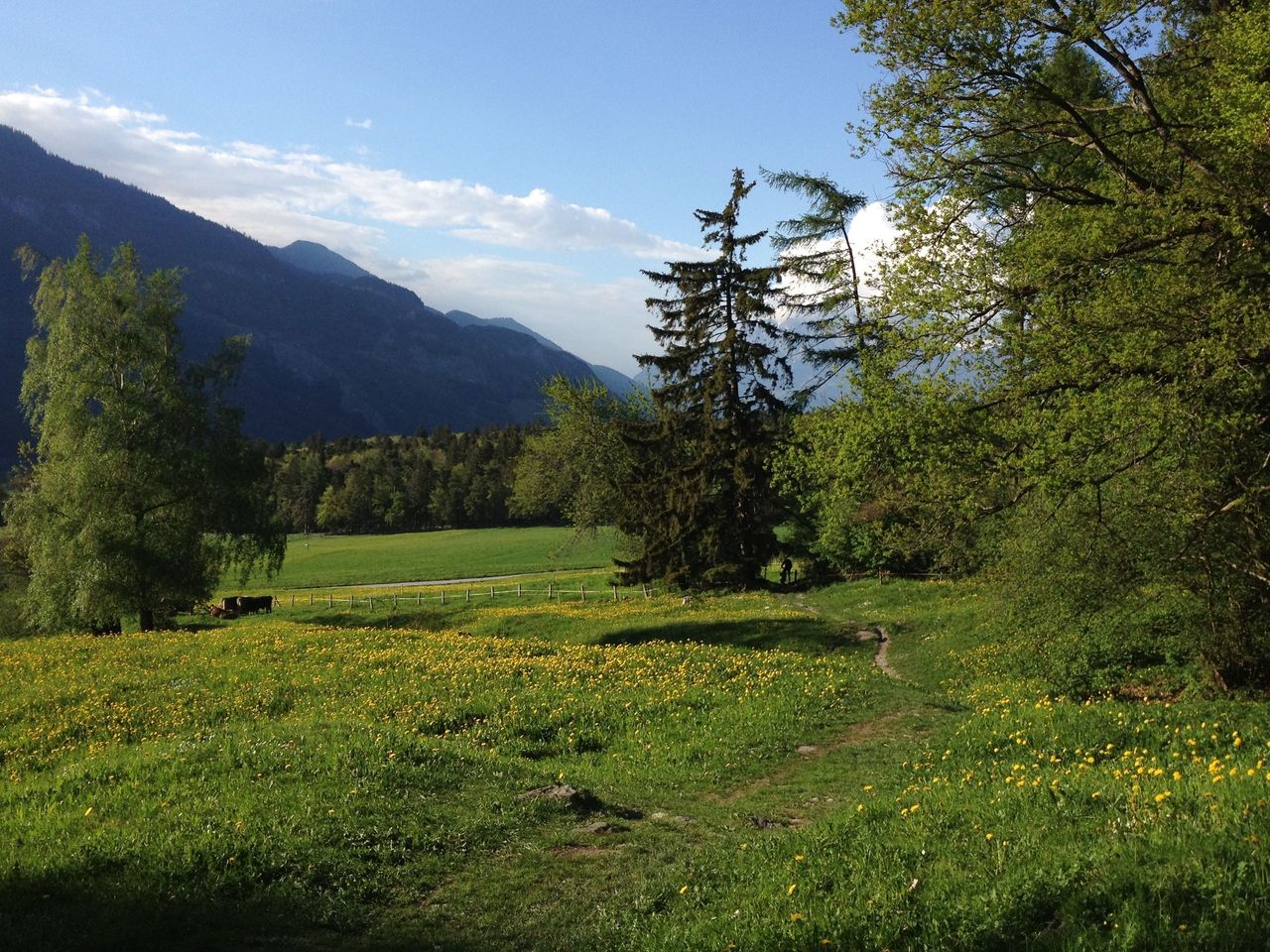 Wanderung auf dem Churer Höhenweg mit 3-Gang-Menü in drei Restaurants