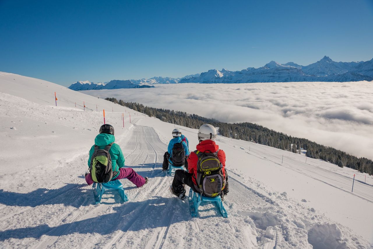 Niederhorn Schlitteln Tageskarte inkl. Schlittenmiete Ticket ab Interlaken