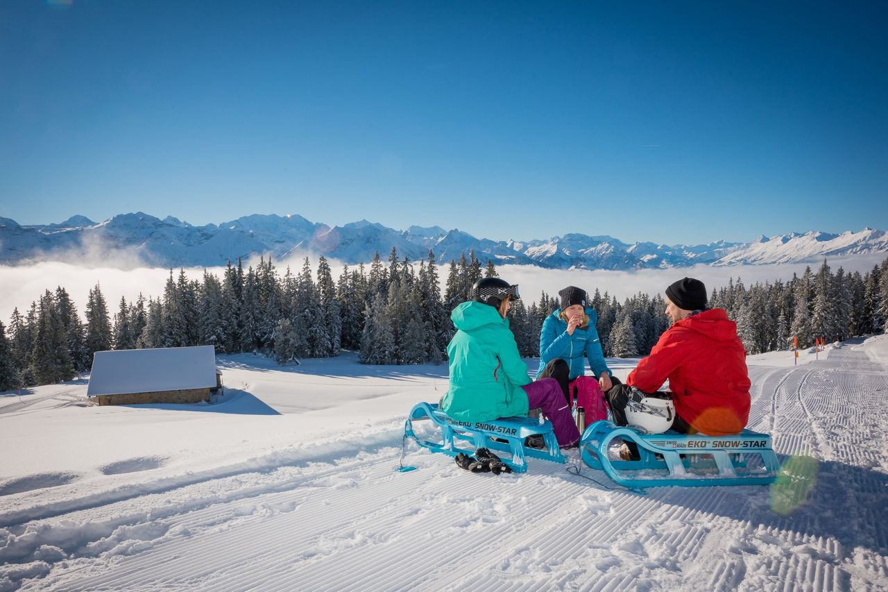 Niederhorn Schlitteln Tageskarte inkl. Schlittenmiete Ticket ab Interlaken