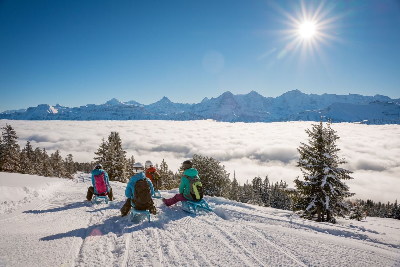 Niederhorn Schlitteln Tageskarte inkl. Schlittenmiete Ticket ab Interlaken
