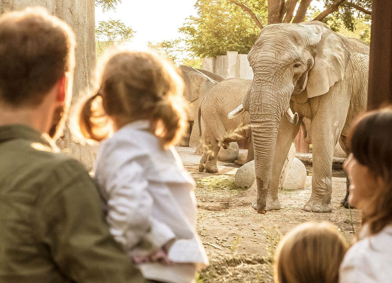Zoo Basel