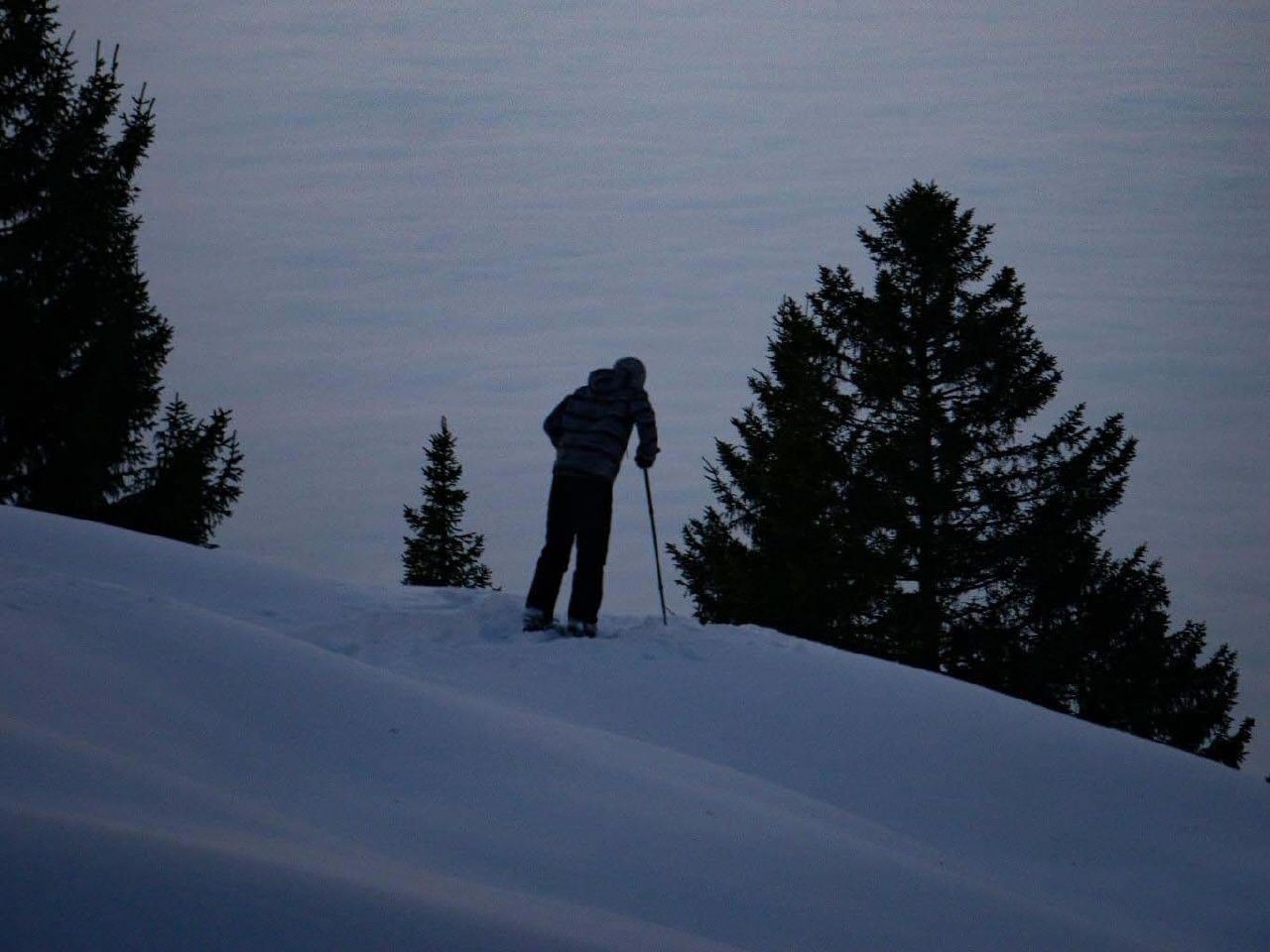Snowshoe tour and sledding with fondue in Davos