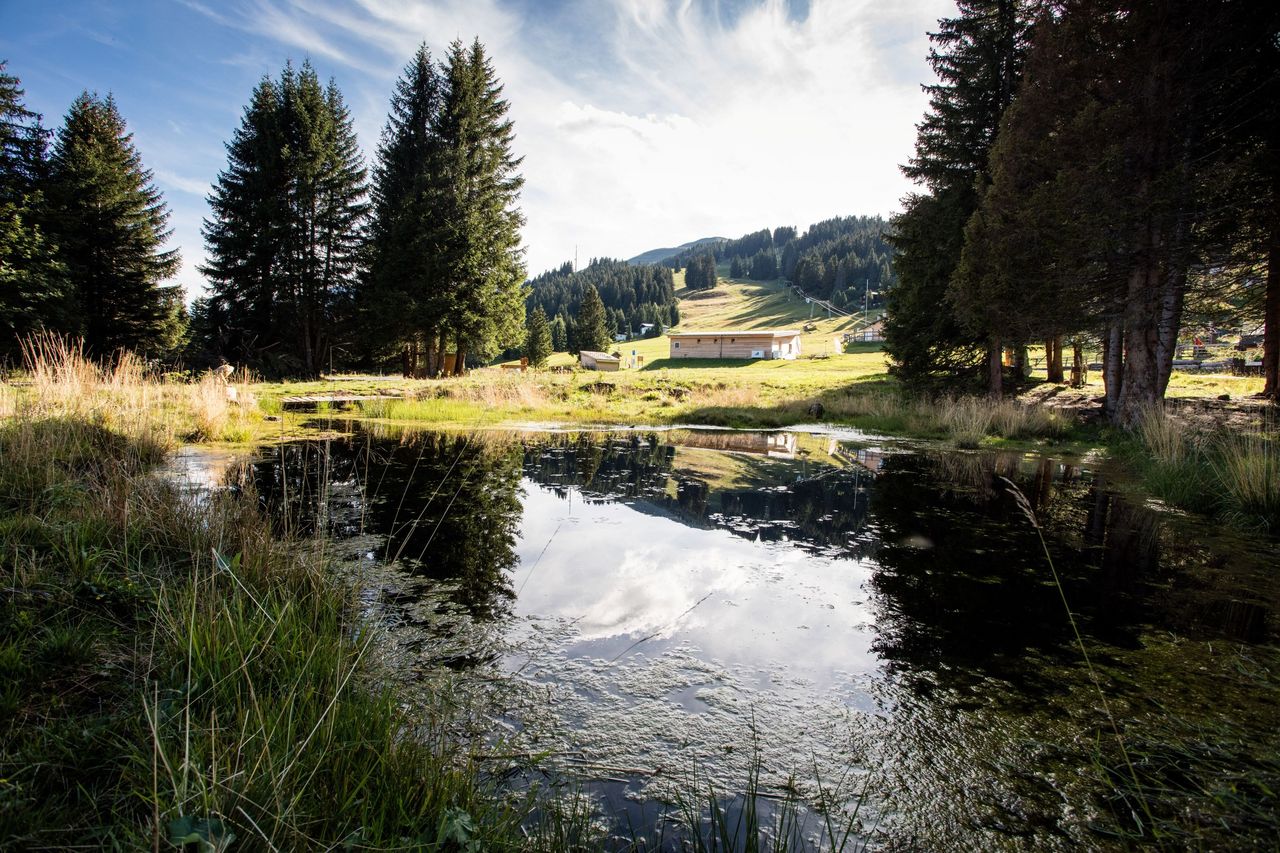 Moor Parcours Brambrüesch self-guided incl. rental WWF moor bag