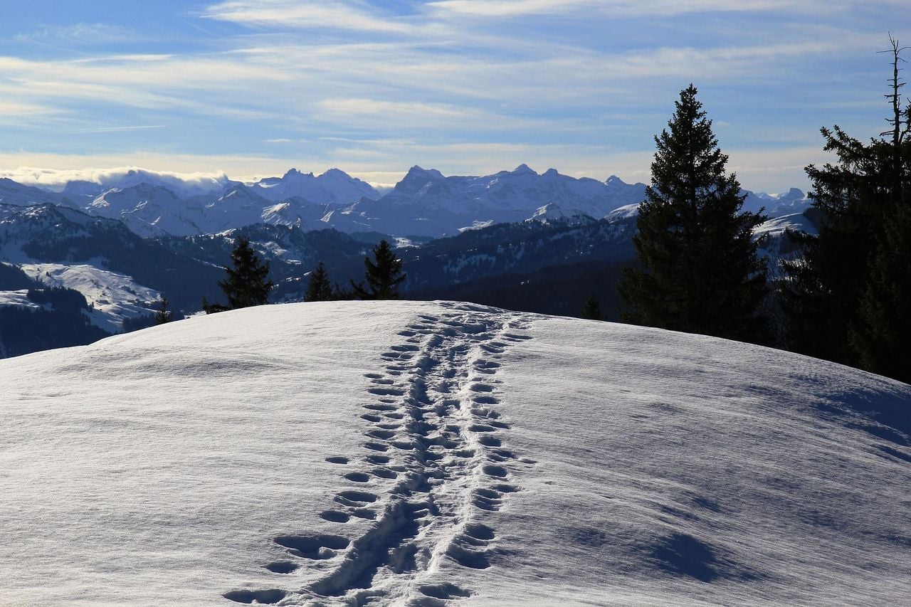Private snowshoe hike from St. Moritz