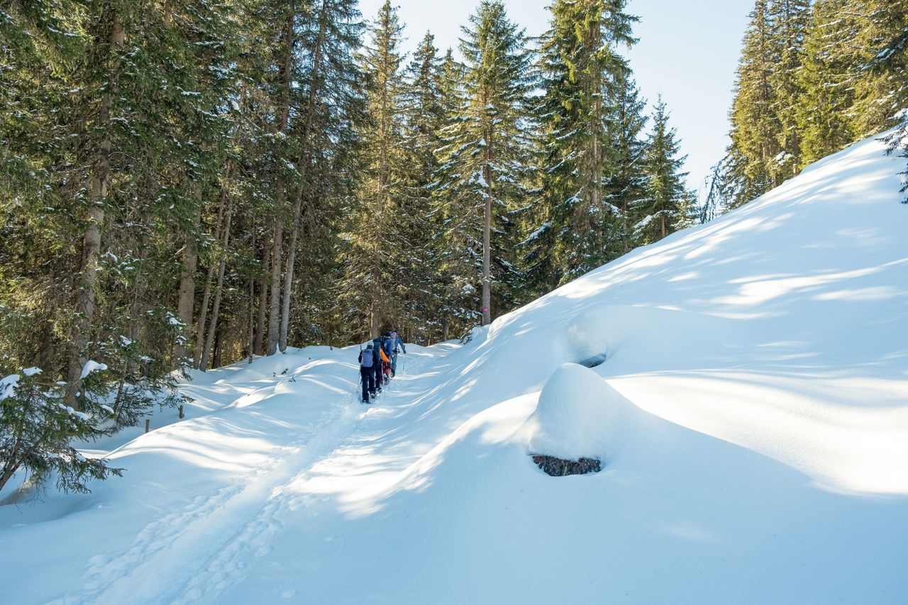 Leichte Schneeschuhtour zum Wetterhorn
