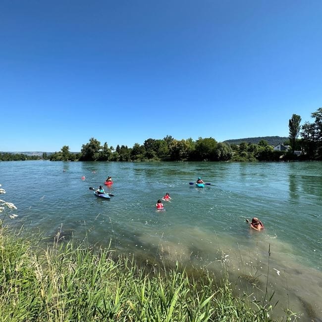 Rheinschwimmen 2027