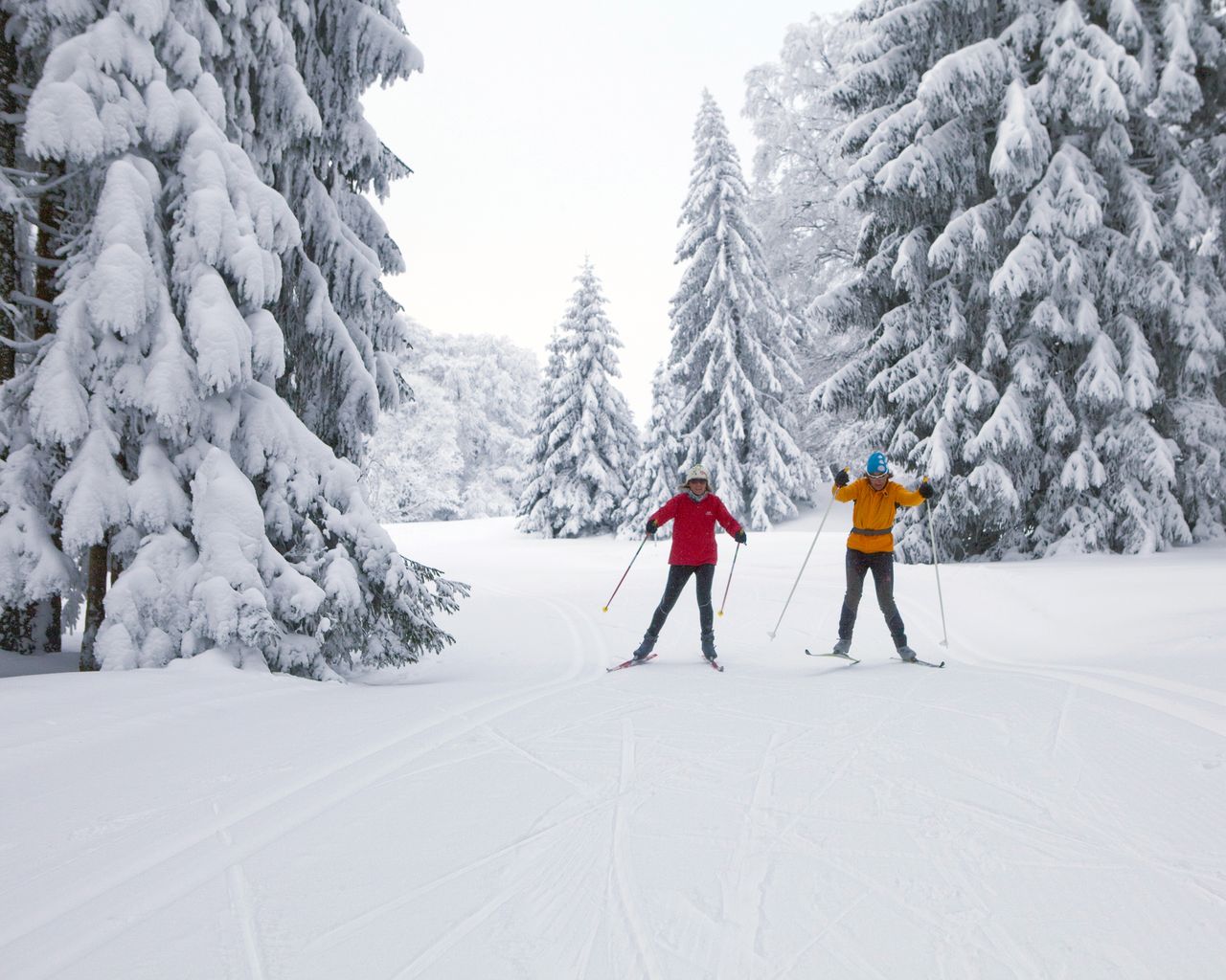 Piste des Mille Sapins