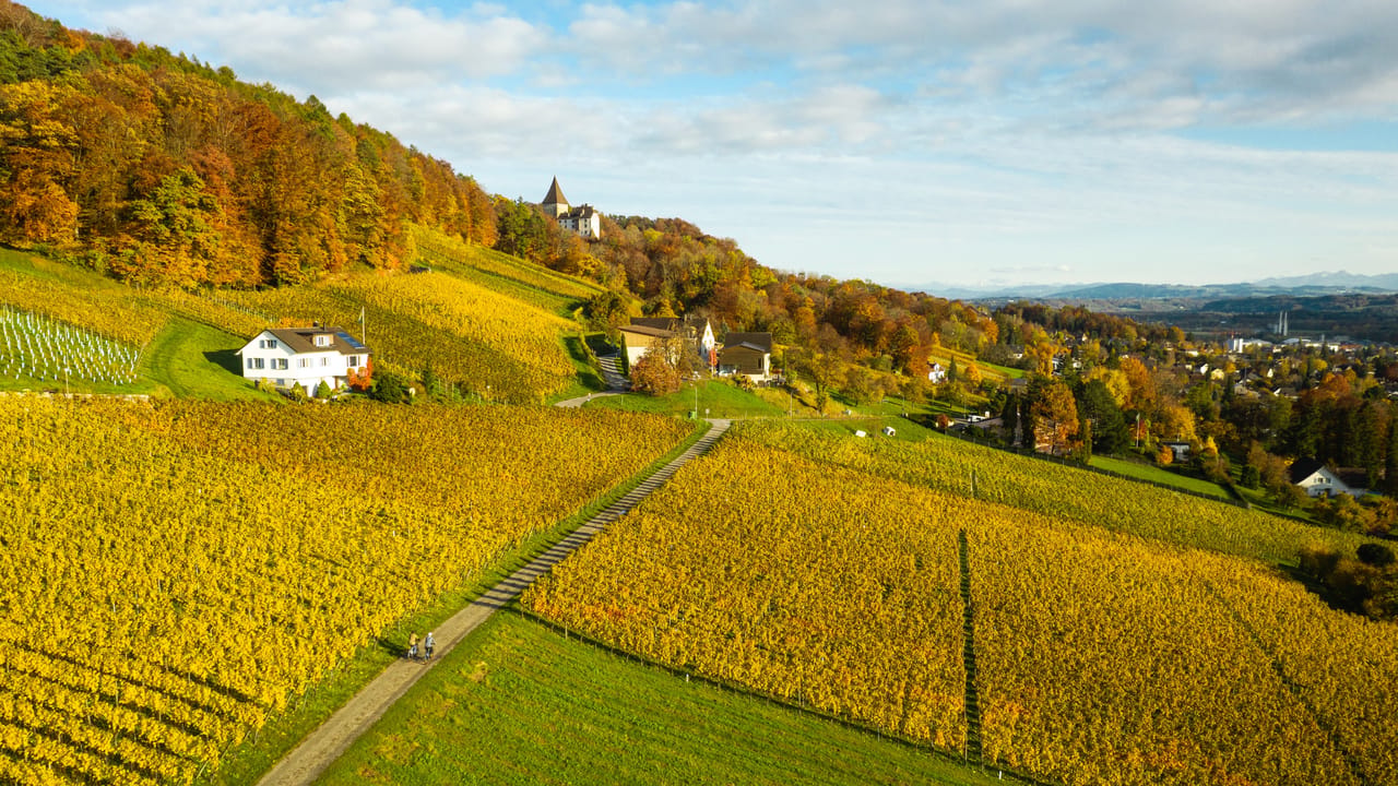 Ostschweizer Wein-Route, Stage 2/2