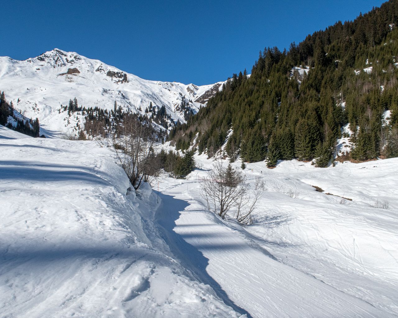 Caischavedra Trail