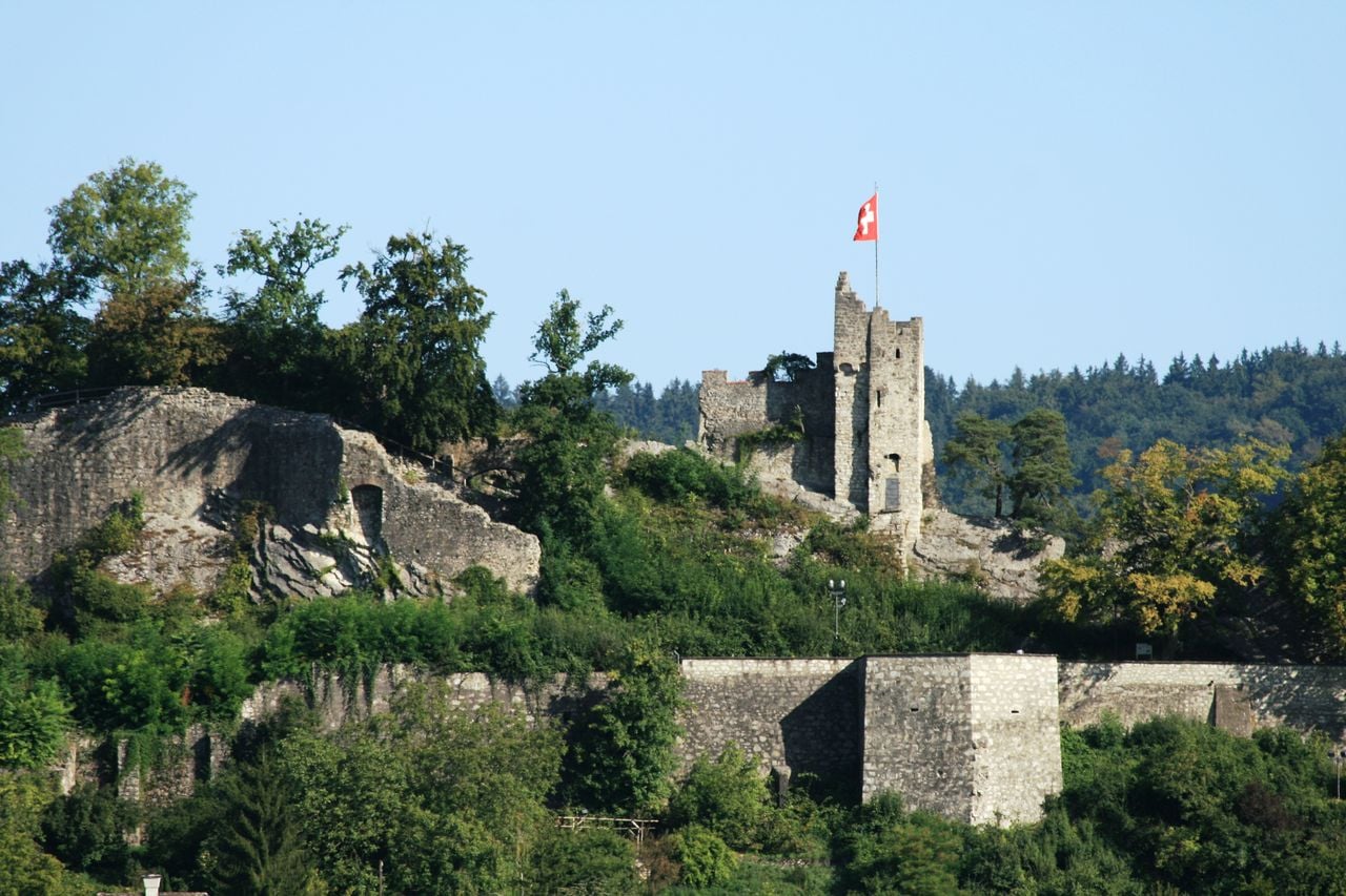 Ruine Stein