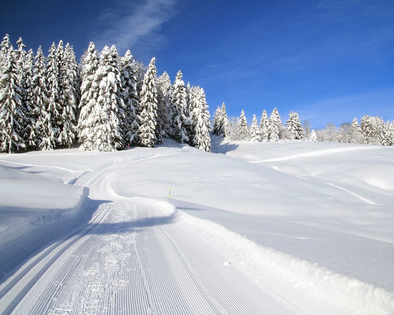 Piste de la Tourbière
