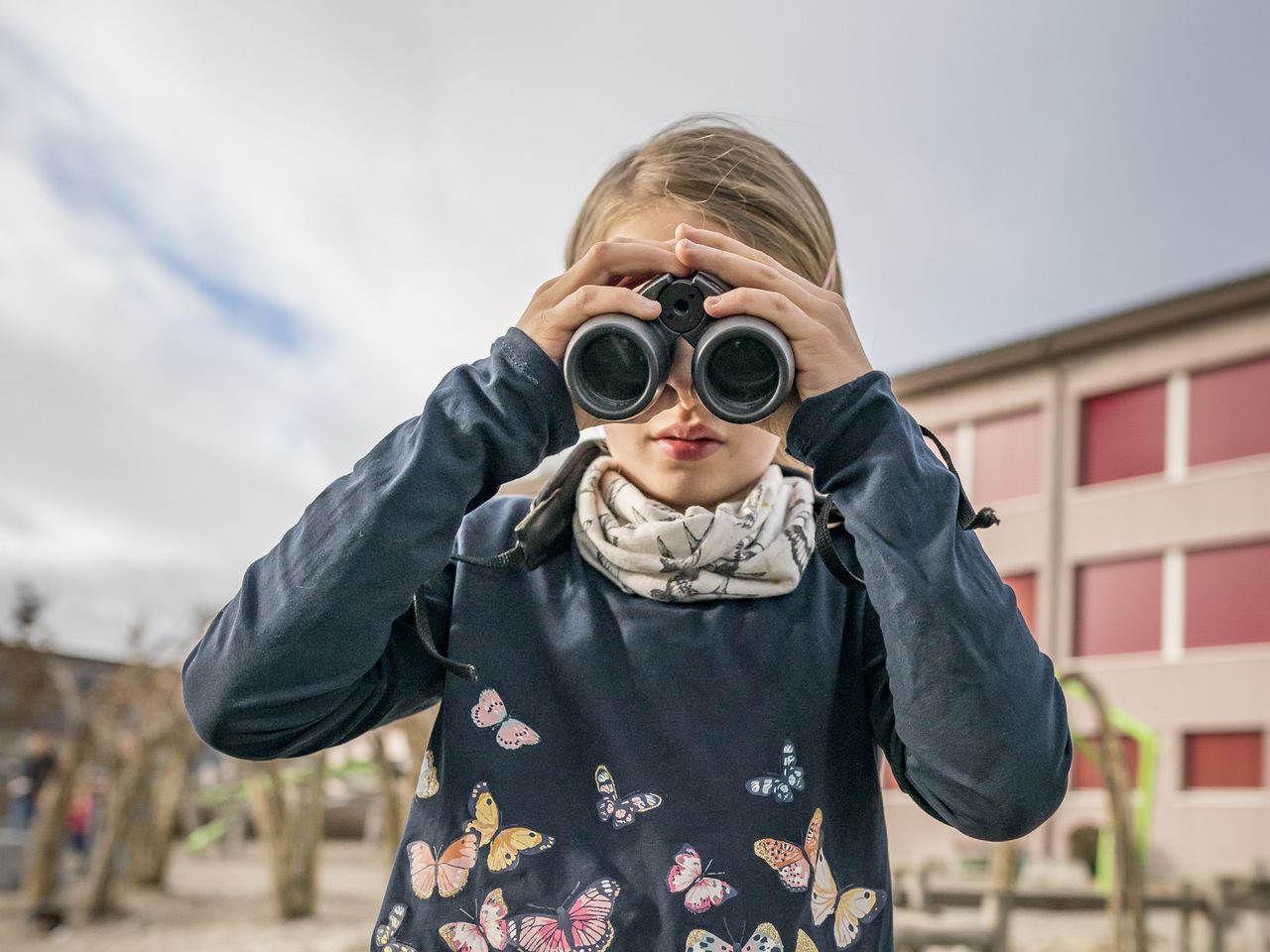 Introduction to birdwatching