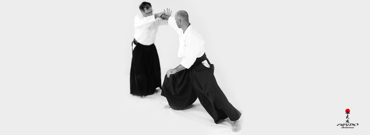 Aikido for adults