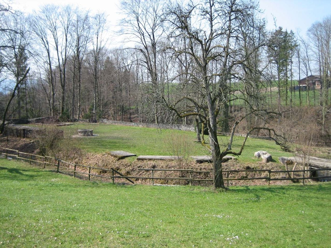 Friedberg Castle Ruins