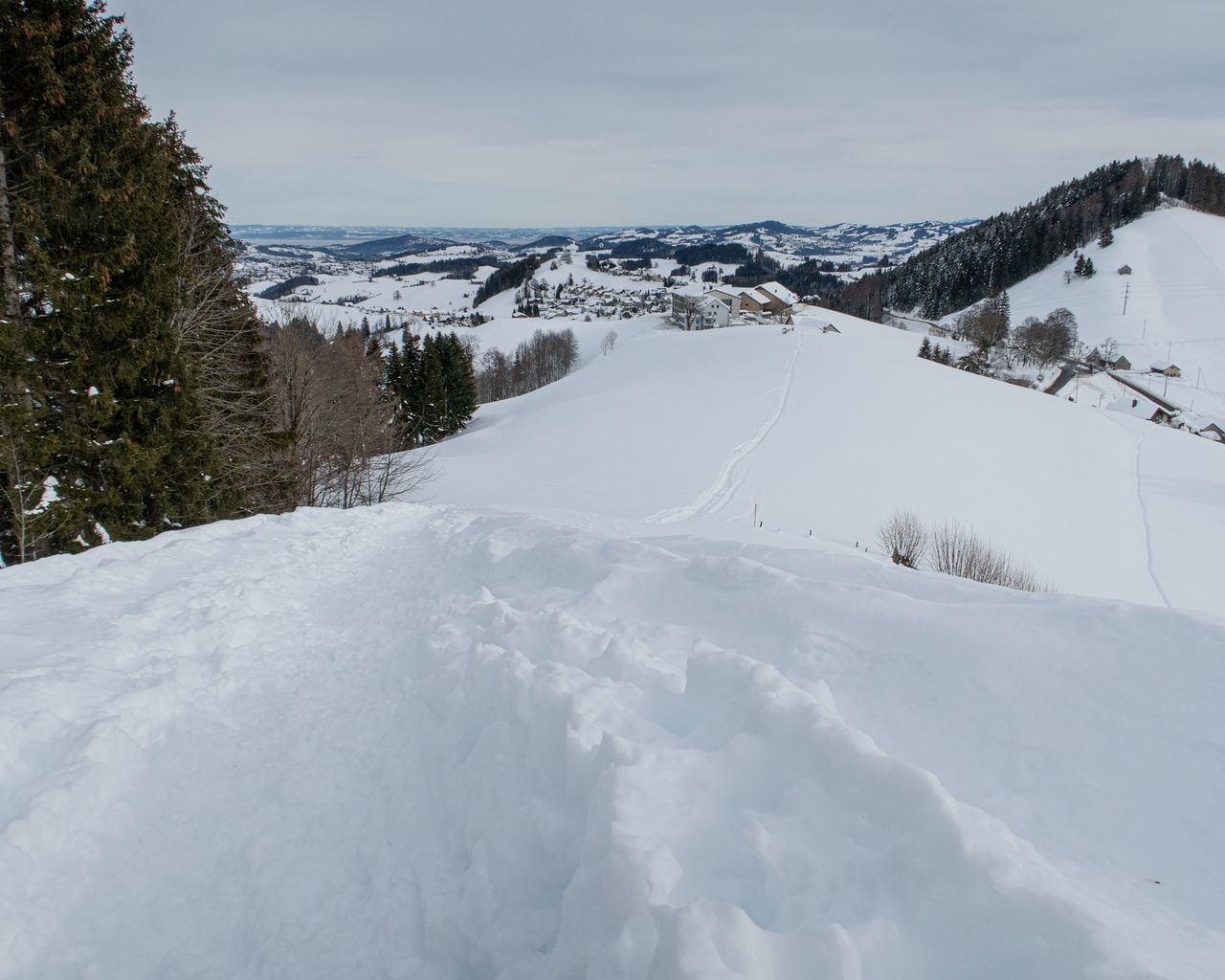 Landscheidi Trail