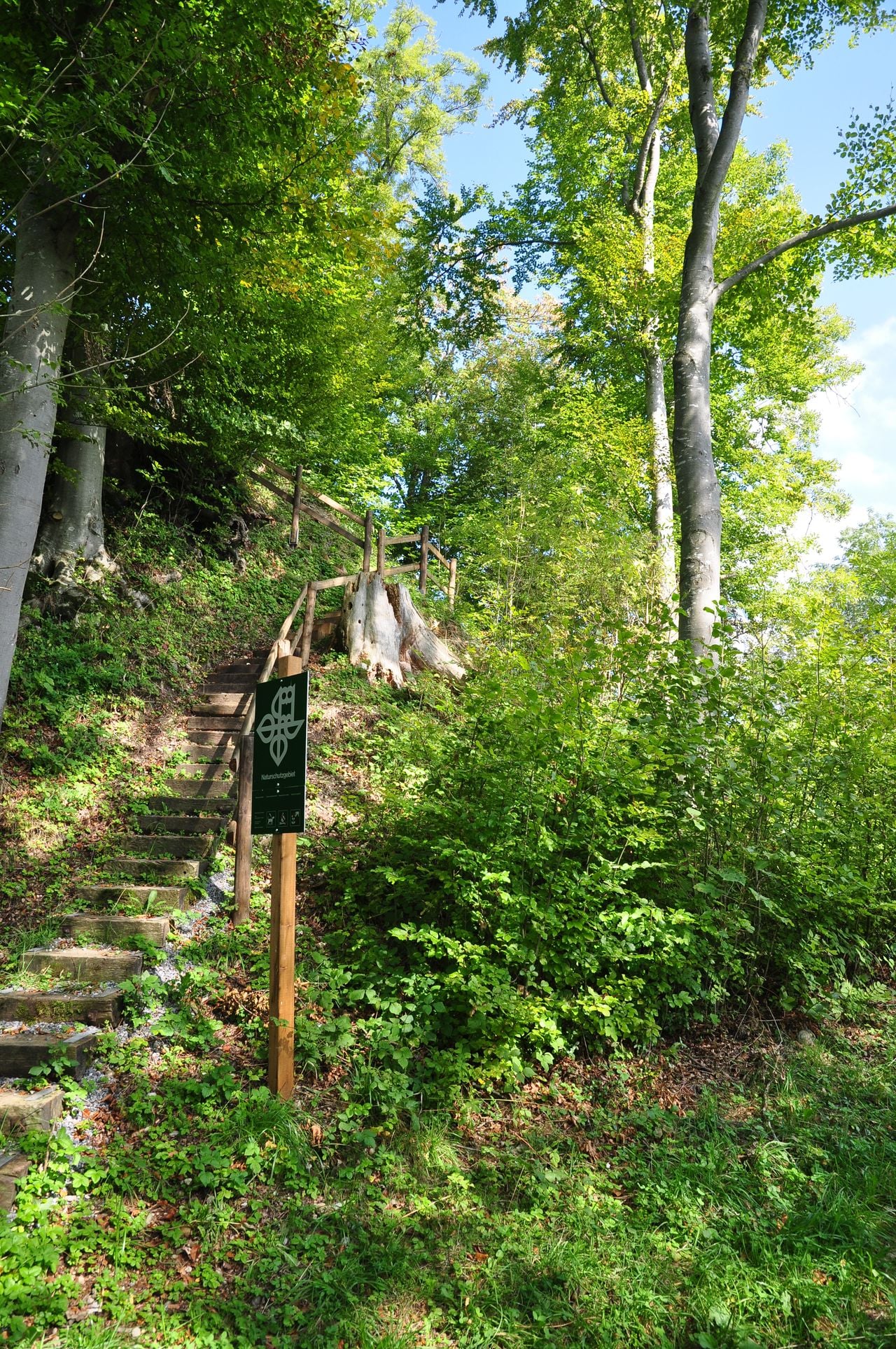 Ruines du château de Greifenberg