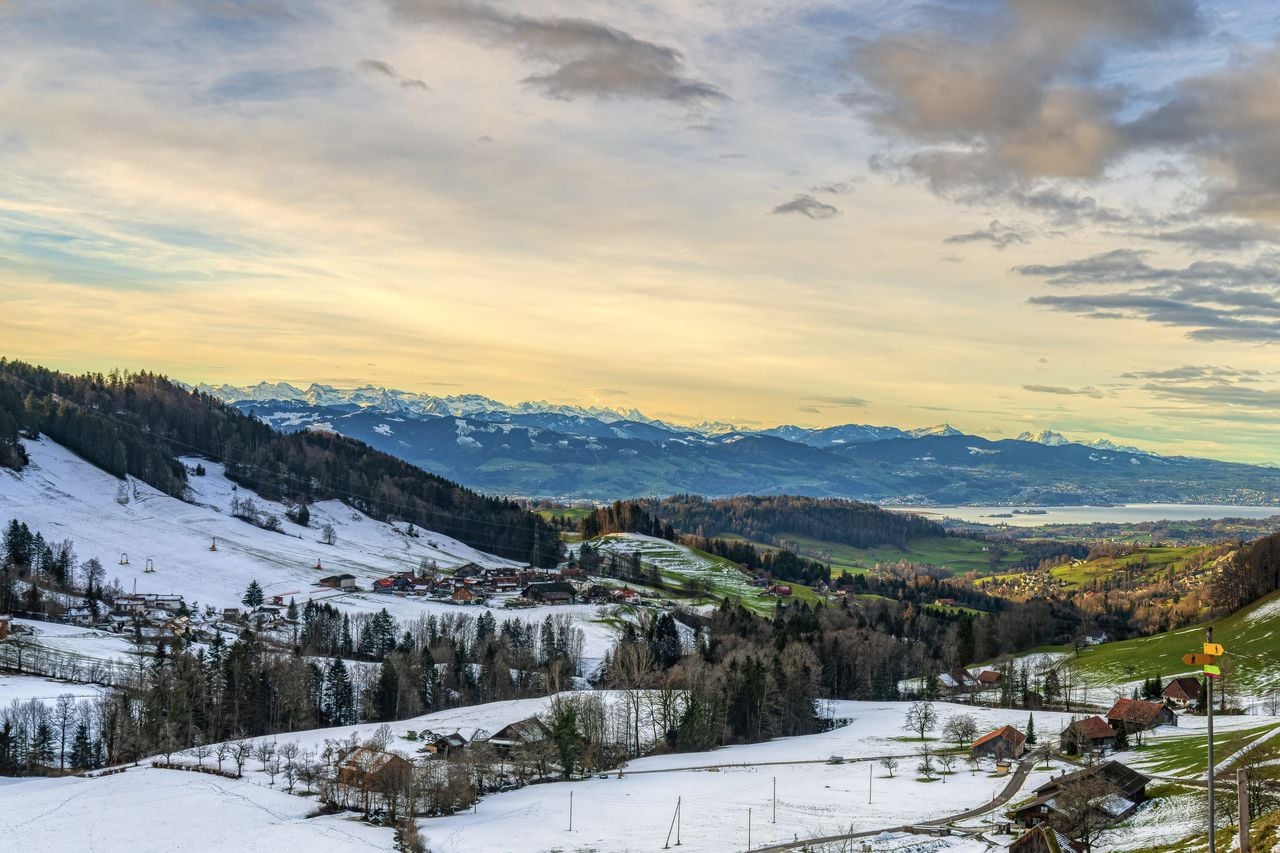 Oberholz – Farner
