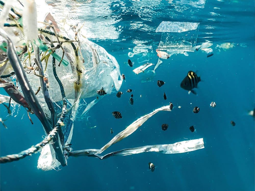 Tracing microplastics