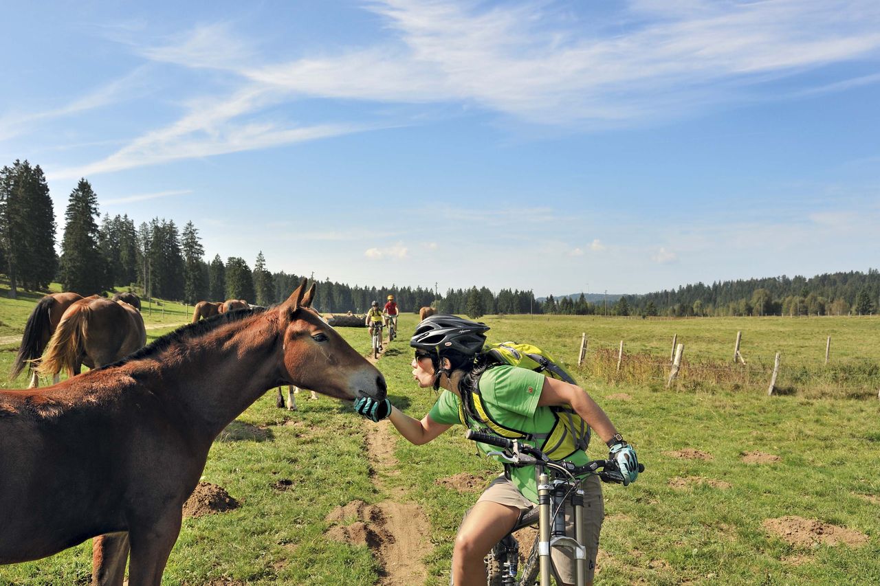 Jura Bike