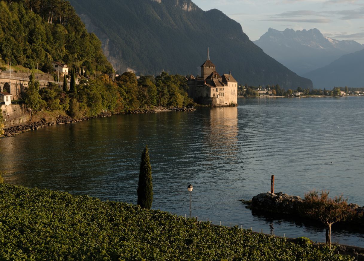 Guided wine tour in French