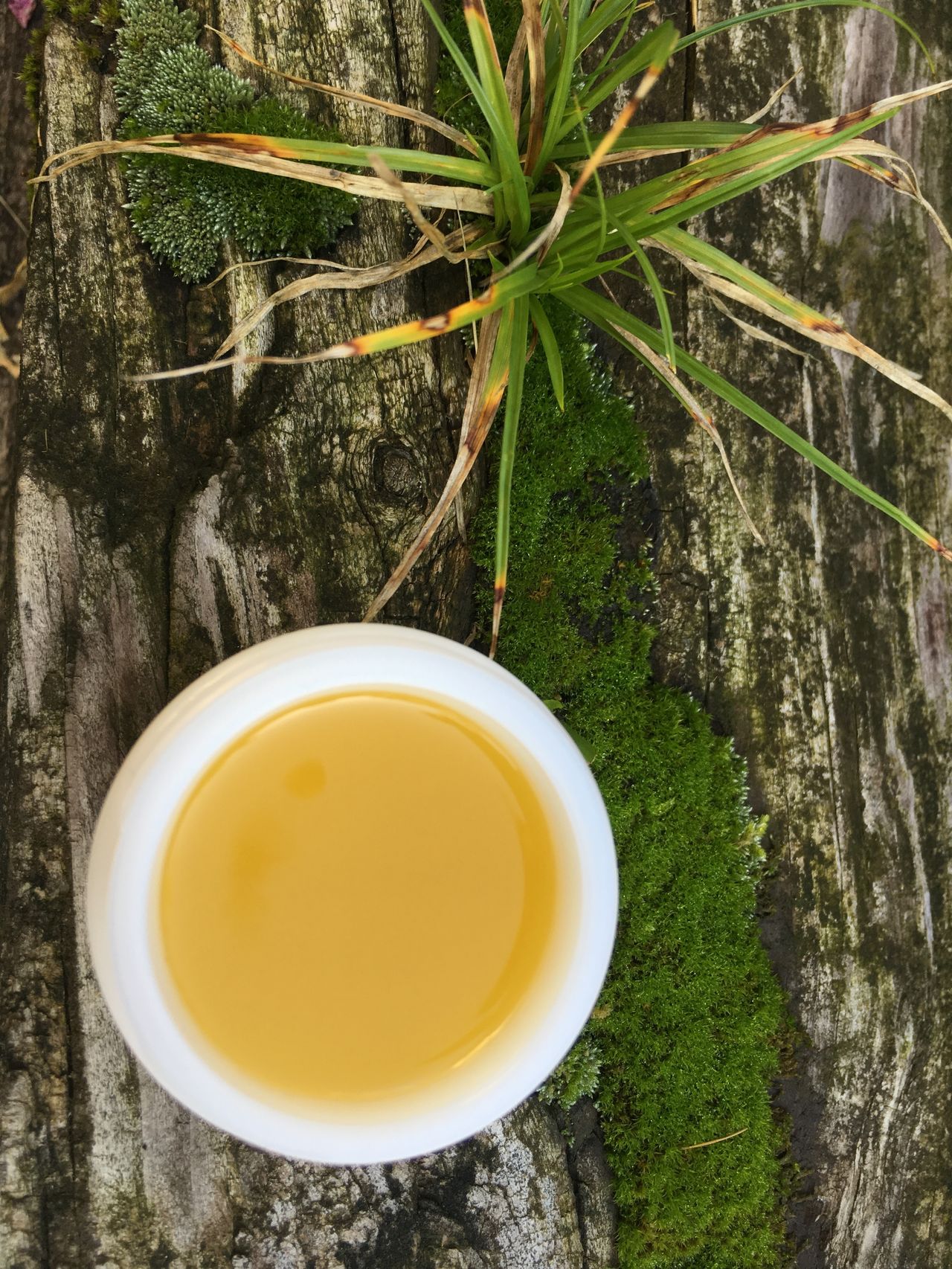 Laboratorio di piante officinali – erbe da regalare