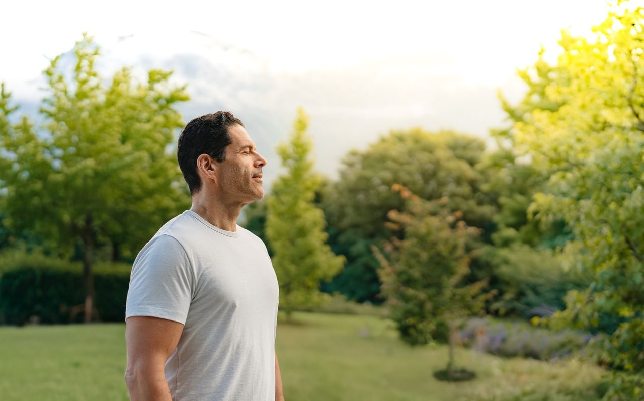 Mental health: life philosophy and art as the basis for a healthy life