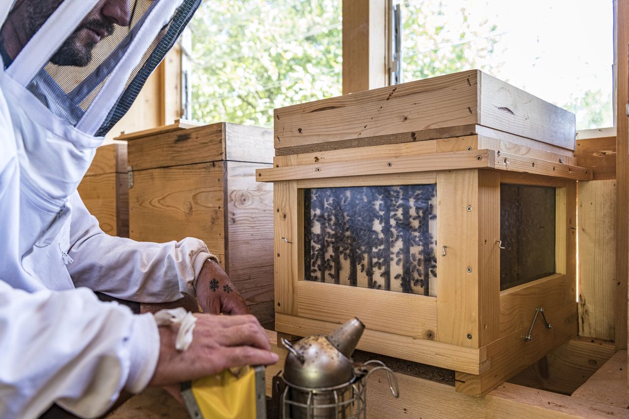Open apiary