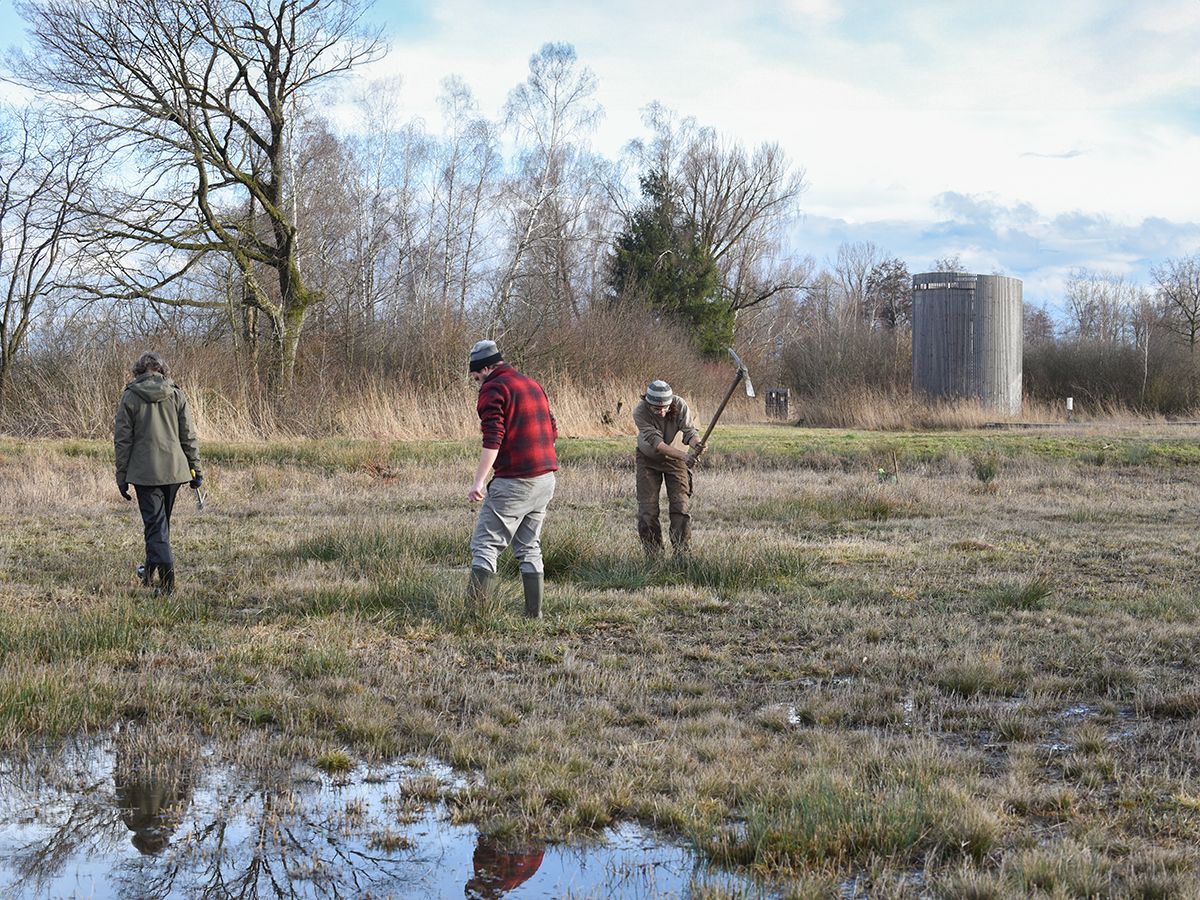 Working for biodiversity