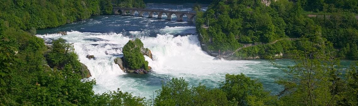 Literaturboote 2026 auf dem Rhein
