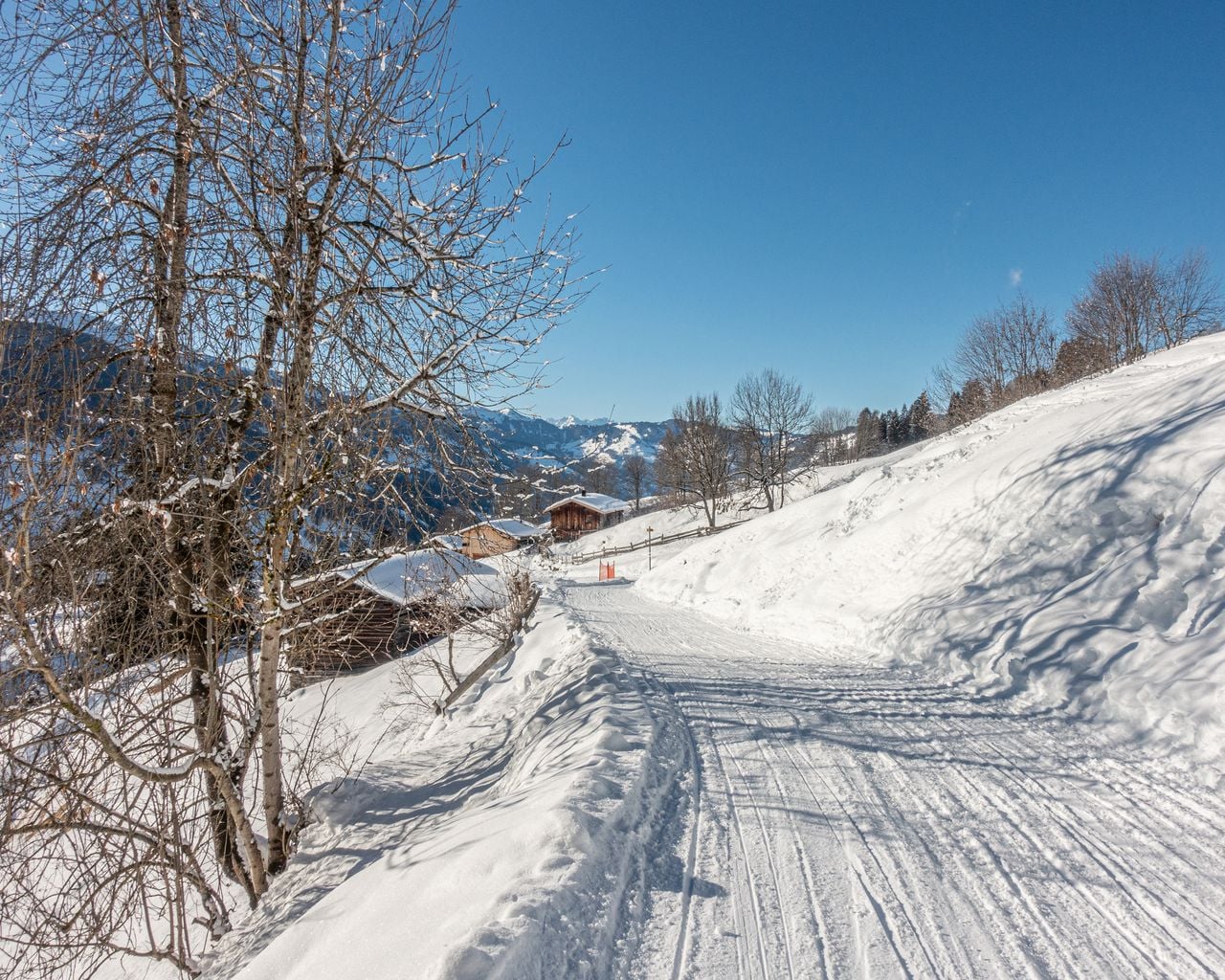 Madrisa-Schlittelbahn