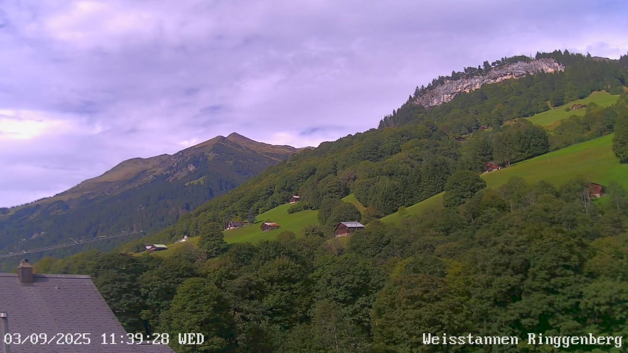 Weisstannen webcam facing Ringgenberg
