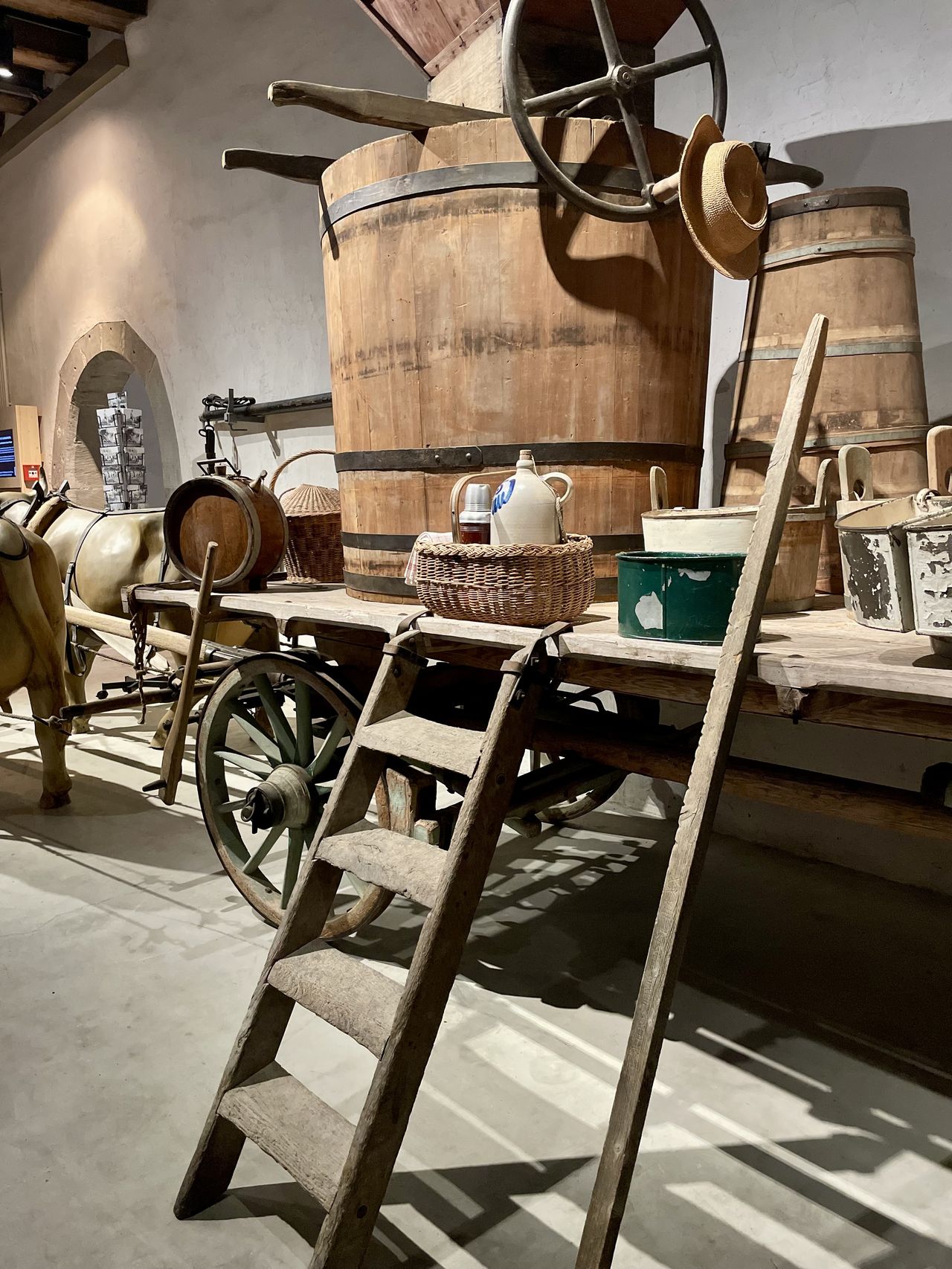 Museumsnacht Hegau-Schaffhausen