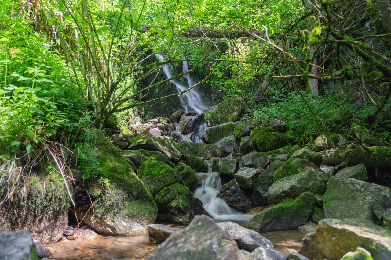 Gersbach Waterfall