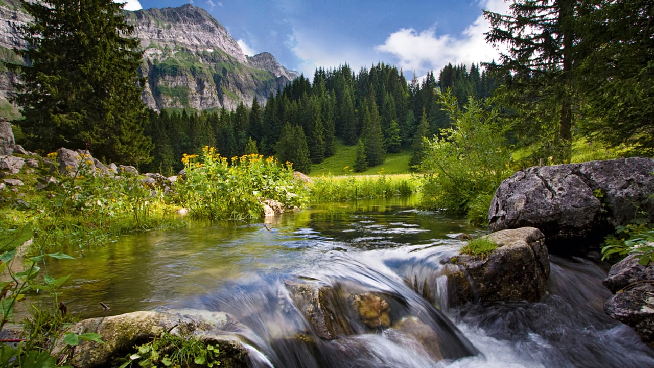 Appenzeller Alpenweg
