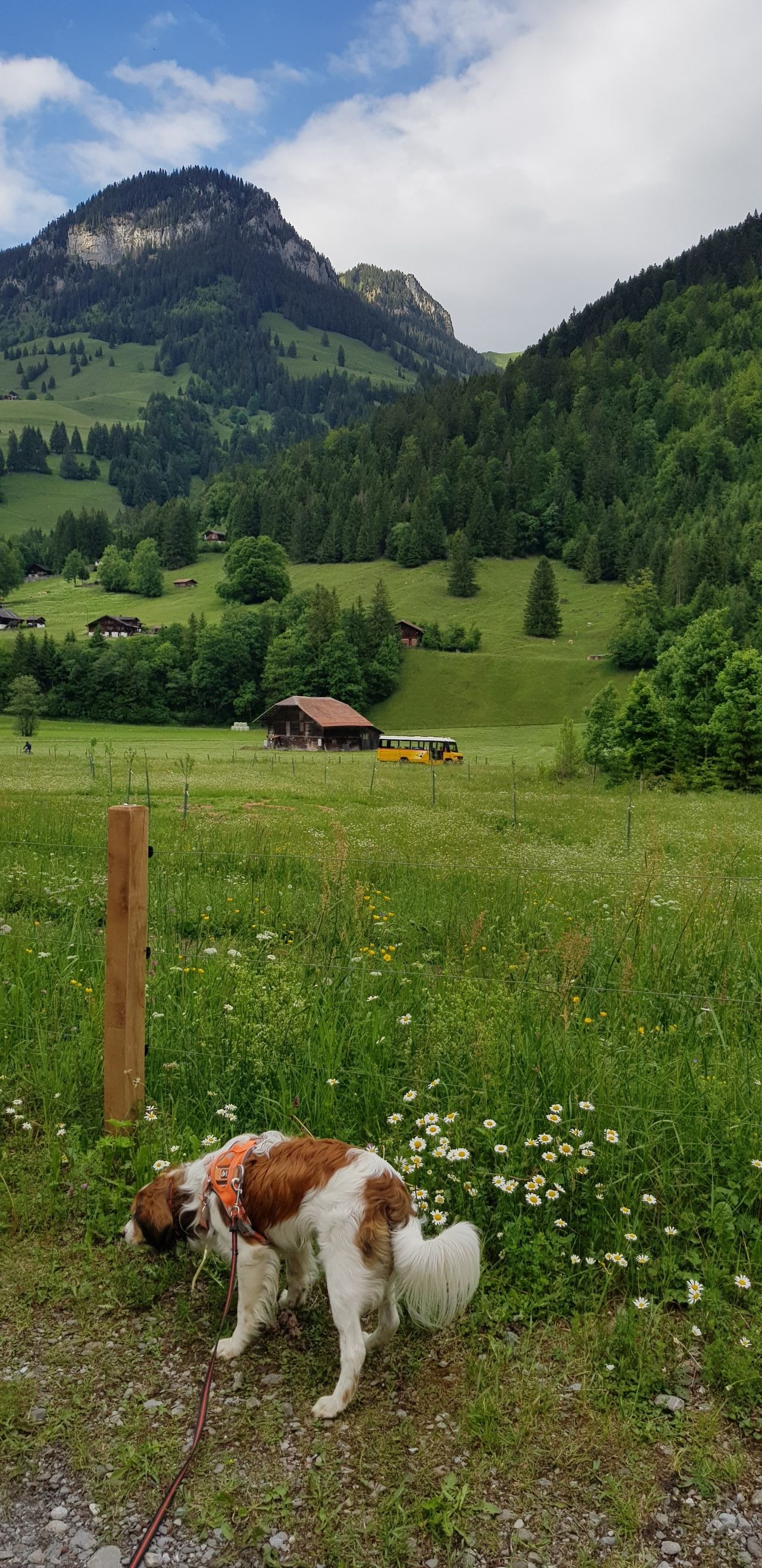Out and about on the Guggerwäg in Kiental