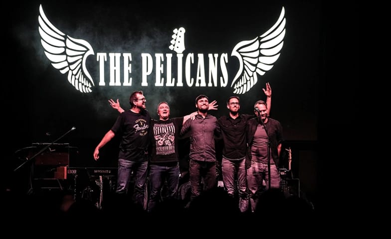 THE PELICANS