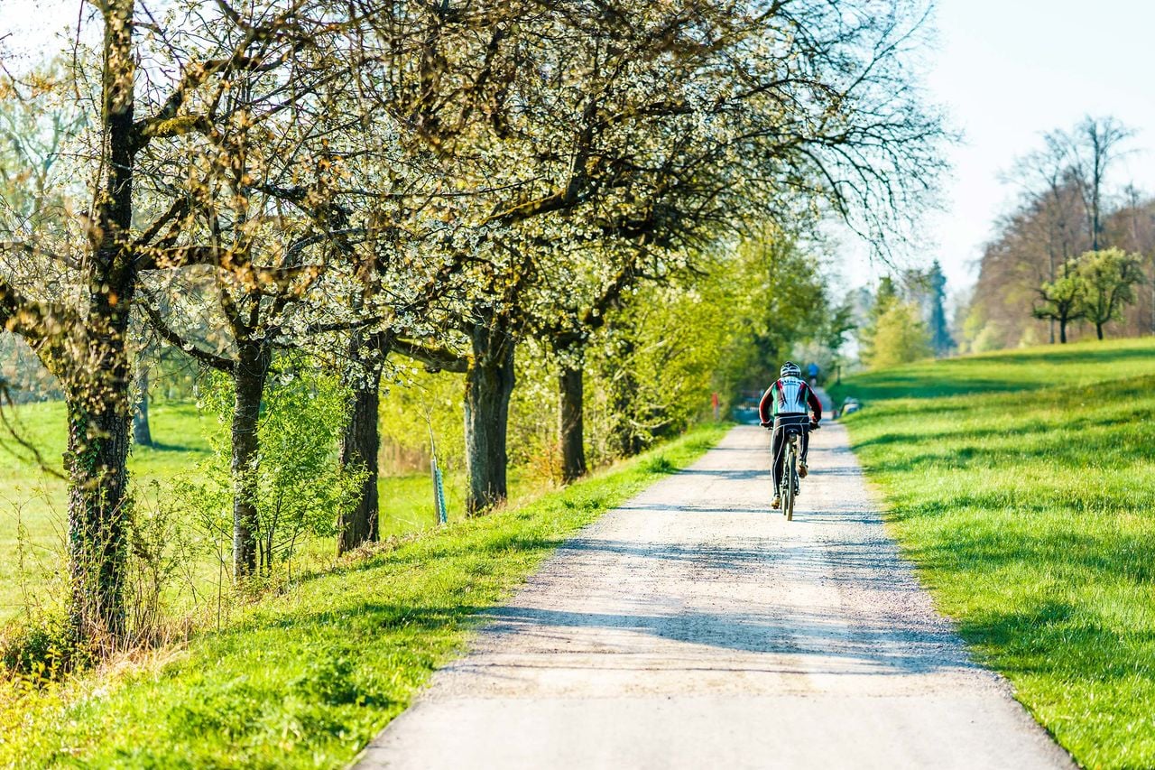 Pfäffikersee Route