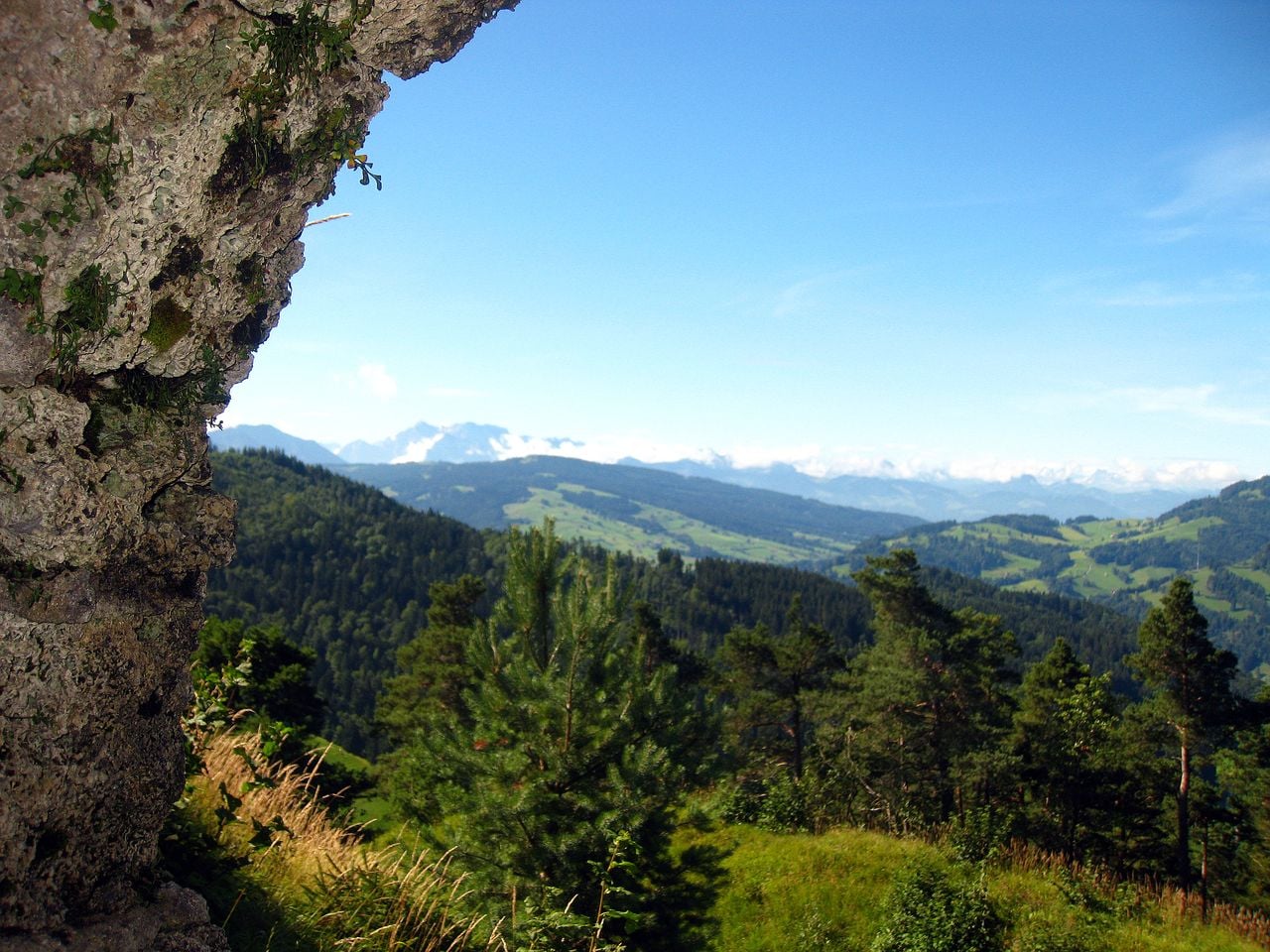 Ruines du château de Neu Toggenburg