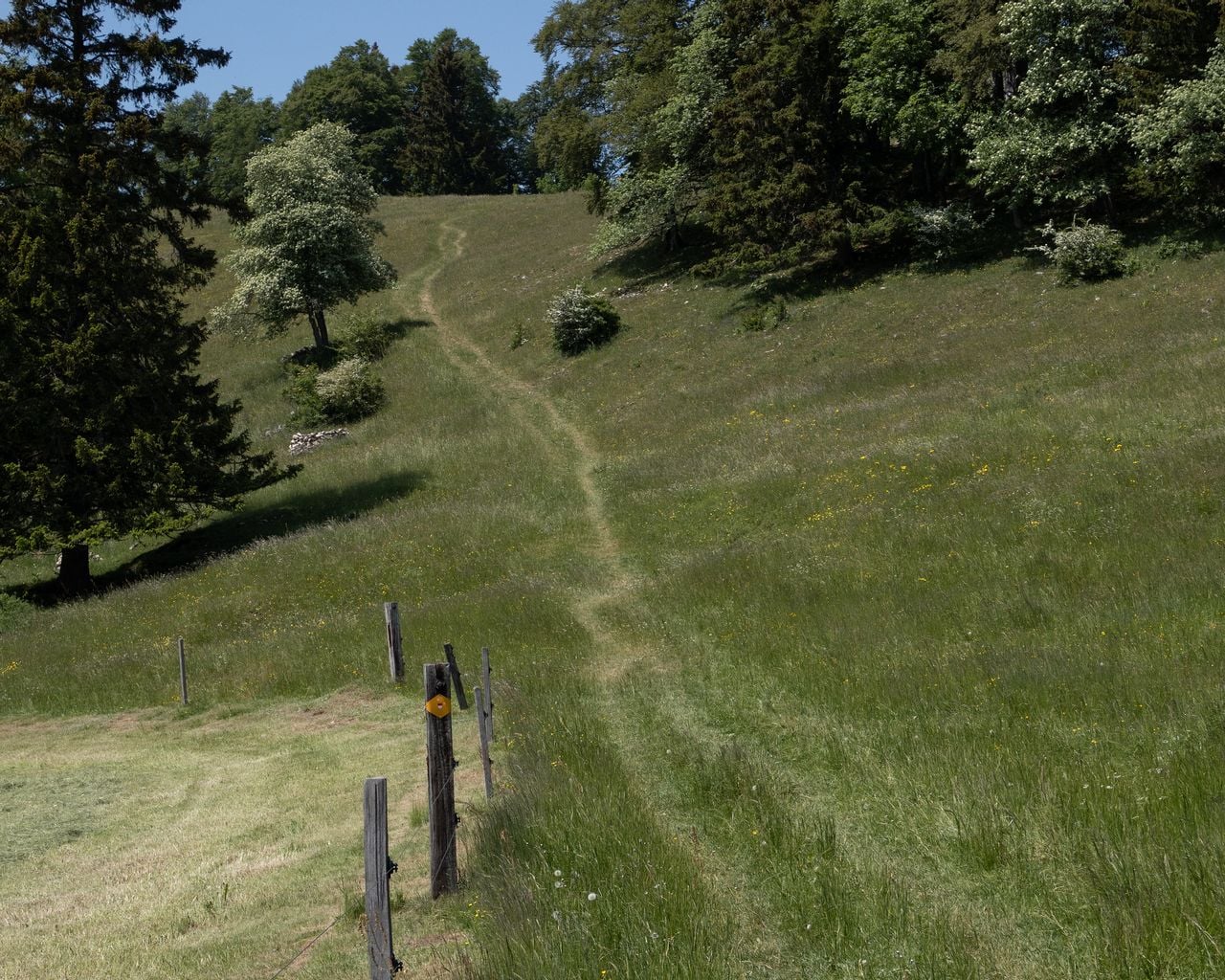 Wolfsschlucht-Weg
